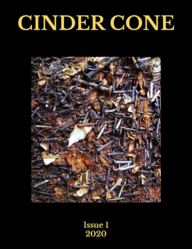 Cinder Cone cover with photo of rusty nails