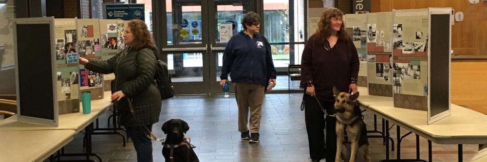 Two visitors with guide dogs explore exhibit