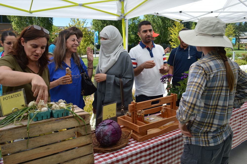 Students shopping at the FarmStand