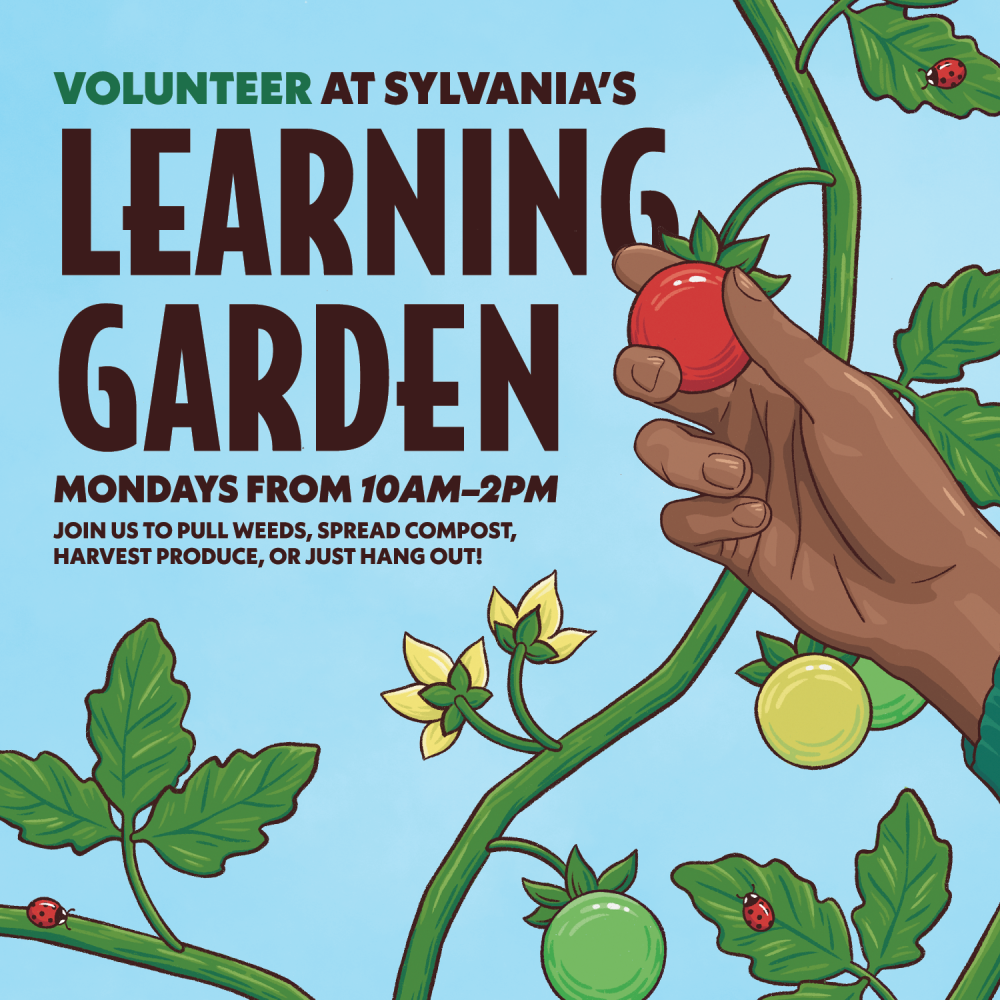 Volunteer at the Sylvania Learning Garden
