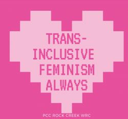Trans Inclusive Feminism Always